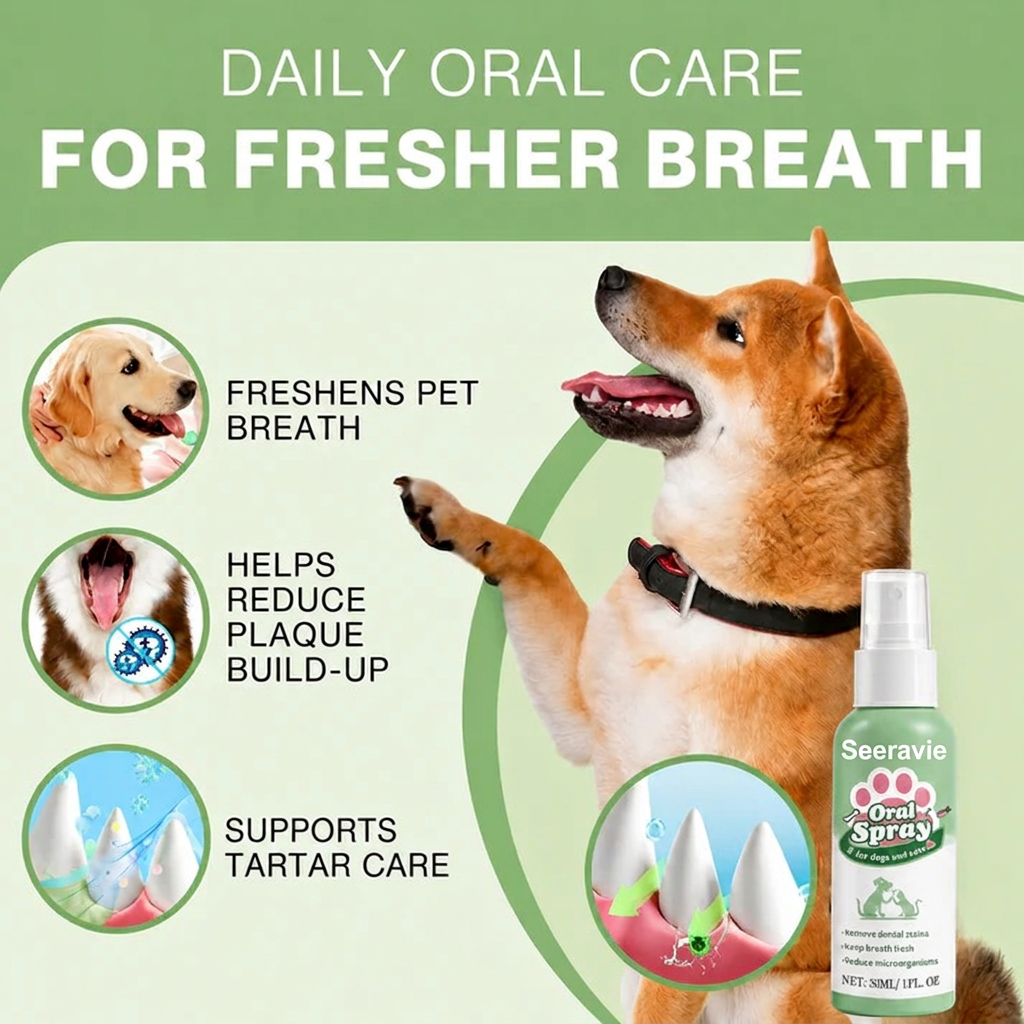 Daily oral care benefits